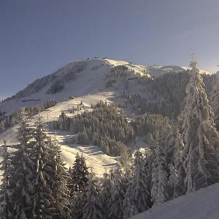 Berghof *