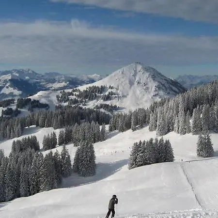 Berghof Apartament